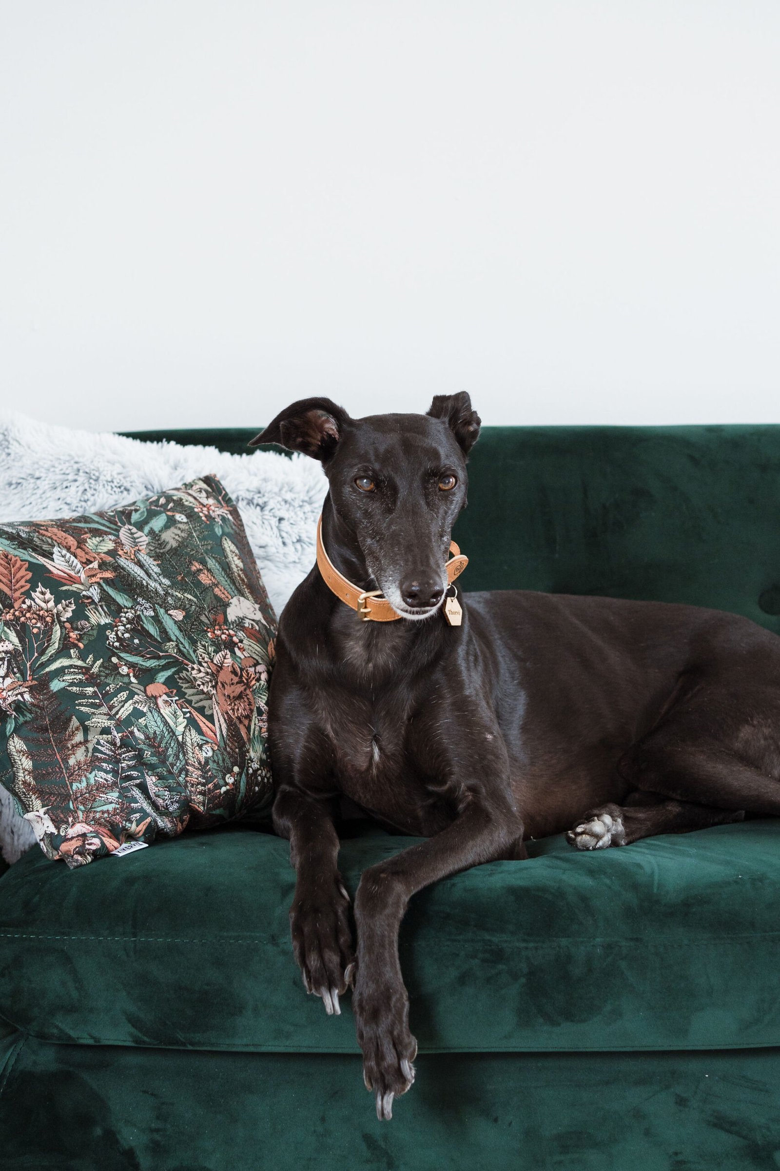 business-shoot-flareframes-lynnvanvreckem-beautyshack-